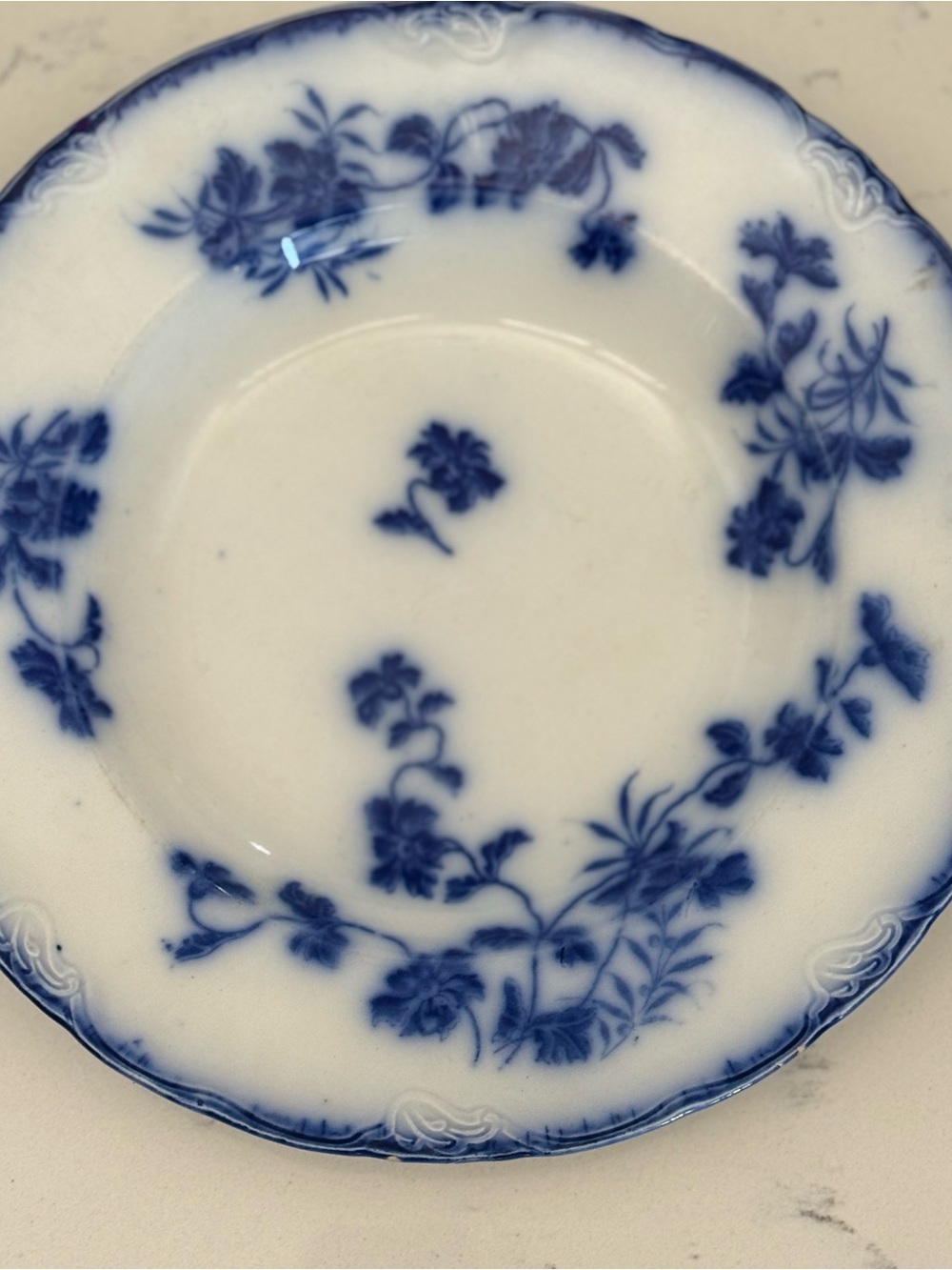 (2) Flow Blue Dinner Plates~Nonpareil Pattern Vintage J&G Meakin